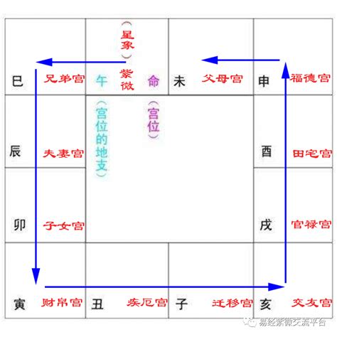 紫微斗數 宮位